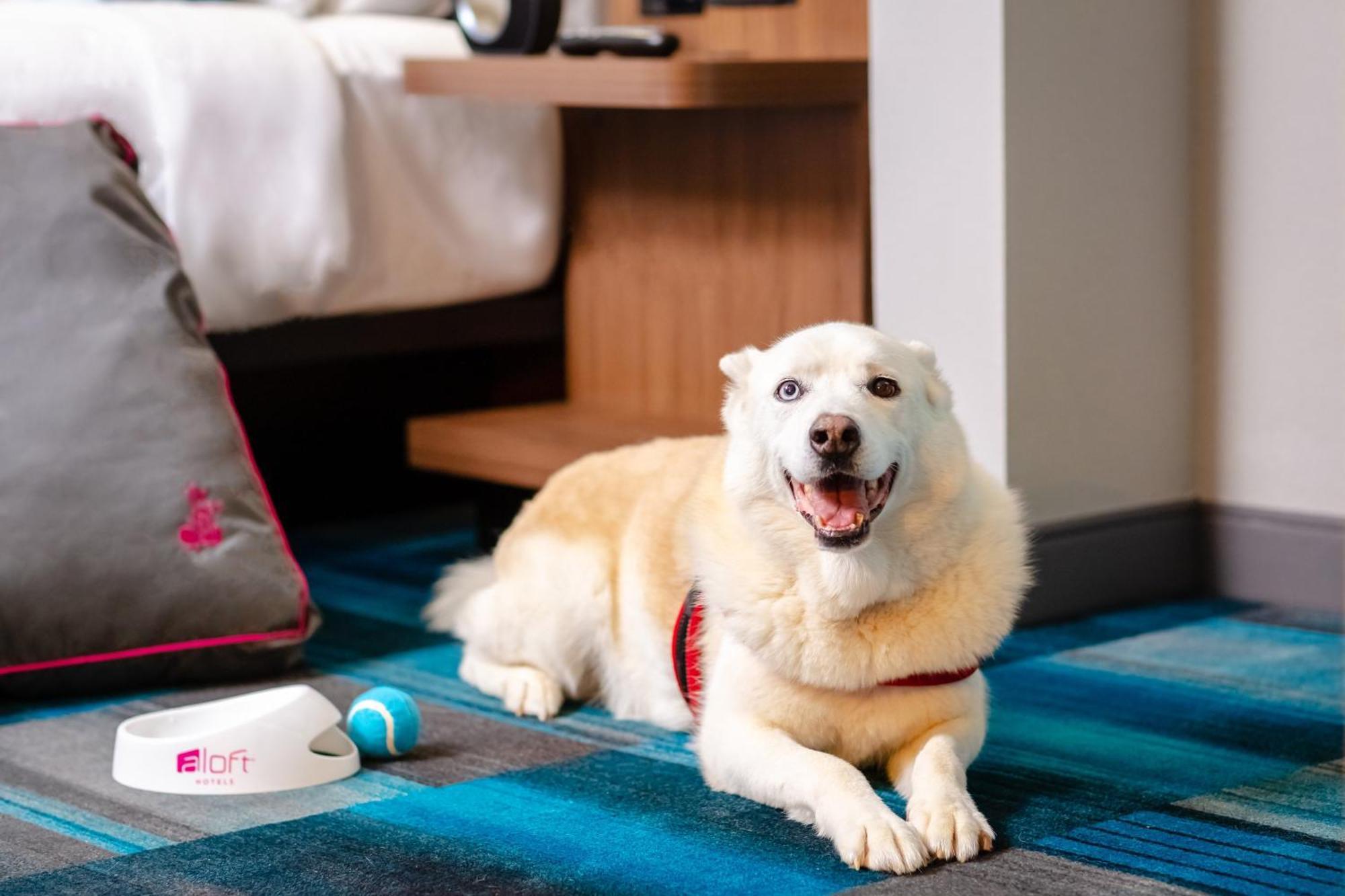 Aloft Columbia Harbison Hotel Luaran gambar